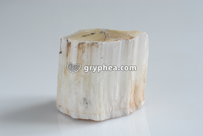 Gypse fibreux - gryphea.org